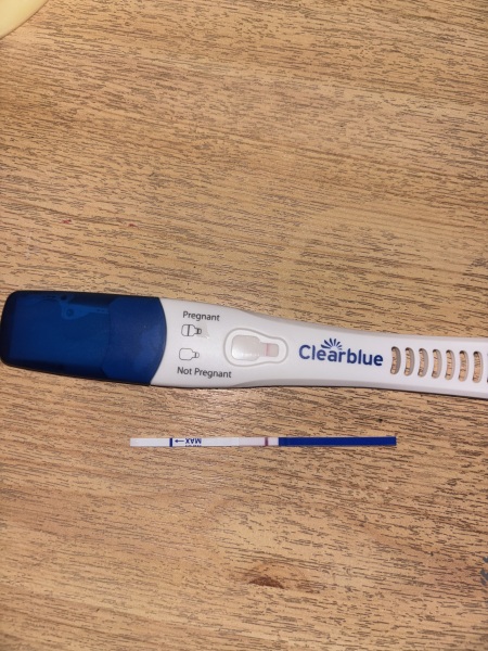 Evap line or pregnancy?