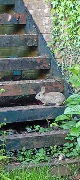 Just Supporting (Continued)