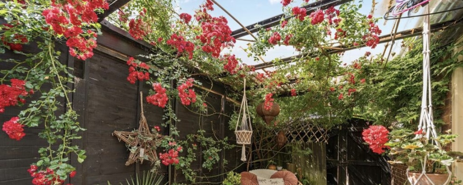Pergola advice