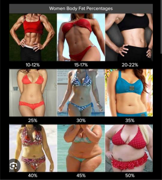 Aibu about my body fat %