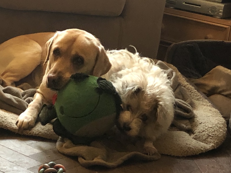 Do you remember this Mumsnet story…?  Update