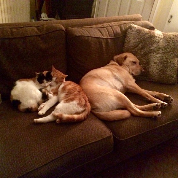 Do you remember this Mumsnet story…?  Update