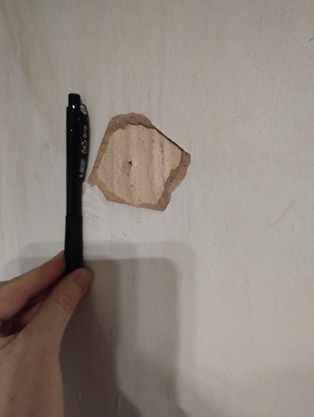 Pulled out a nail and a load of plaster