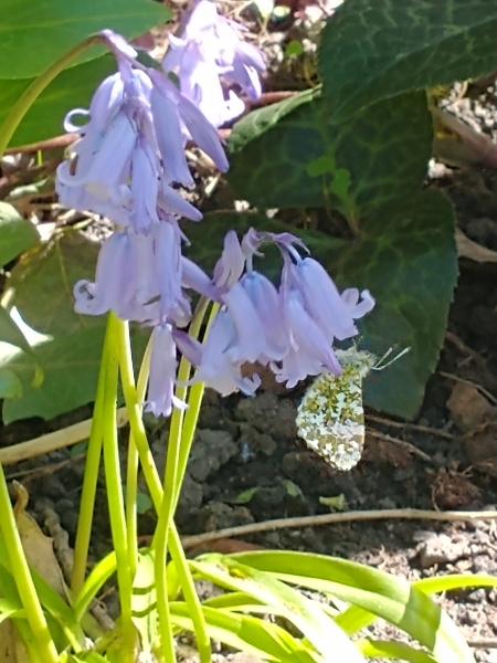 What are you up to today if you have a chronic illness?  Thread 7