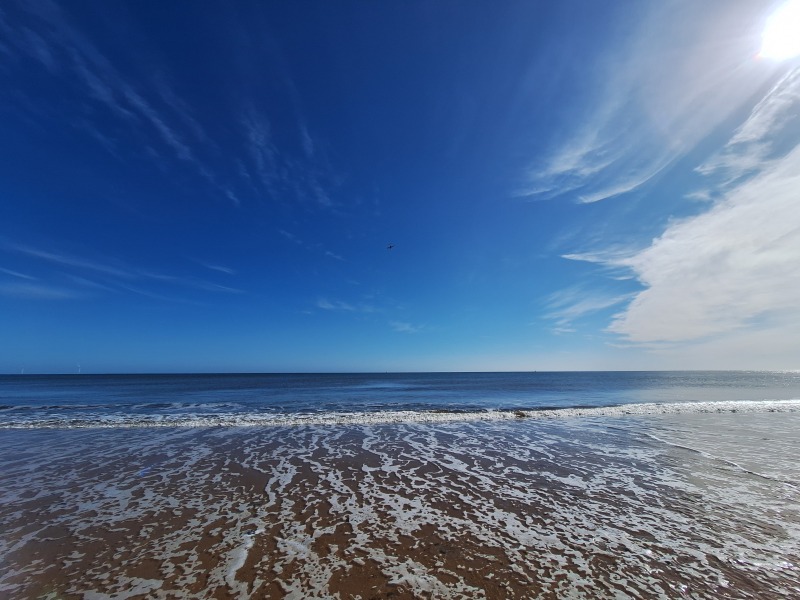 Year round Nigel Slater discussion thread - Part 3