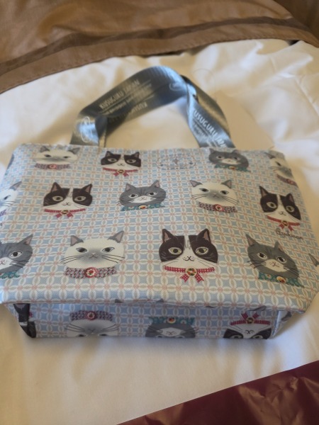 How do you carry lunch to work alongside a full backpack?