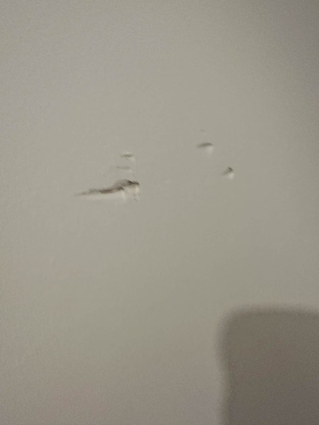 Help! Removal Men damaged wall and won't pay up - what to do?
