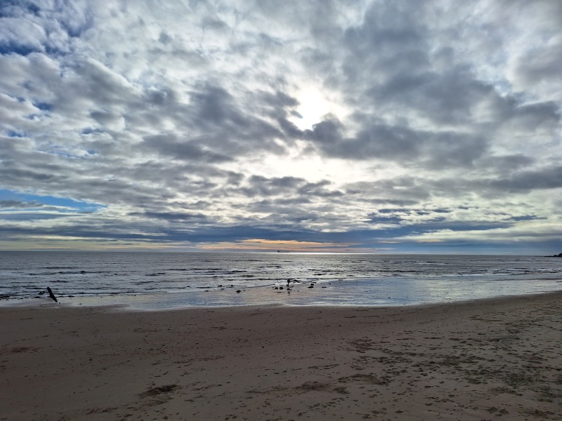 Year round Nigel Slater discussion thread - Part 3