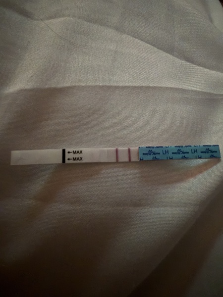 Confused by conflicting ovulation dates on Premom and Fertility Friend