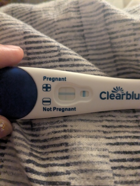 Early pregnancy