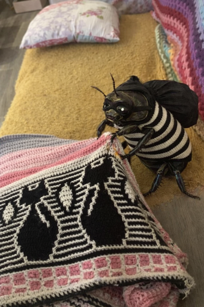 The Bluestocking: To the moon and back gerbil style.