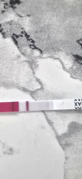 TTC March/April 2026