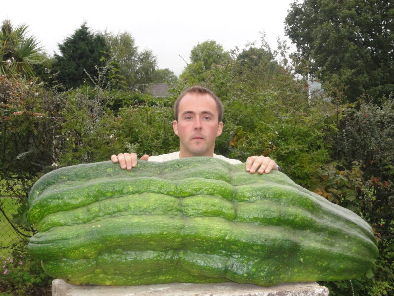 People who grow hard-to-use veggies should only give them away cooked and ready to eat!