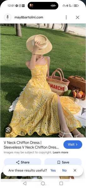 Help to find dress