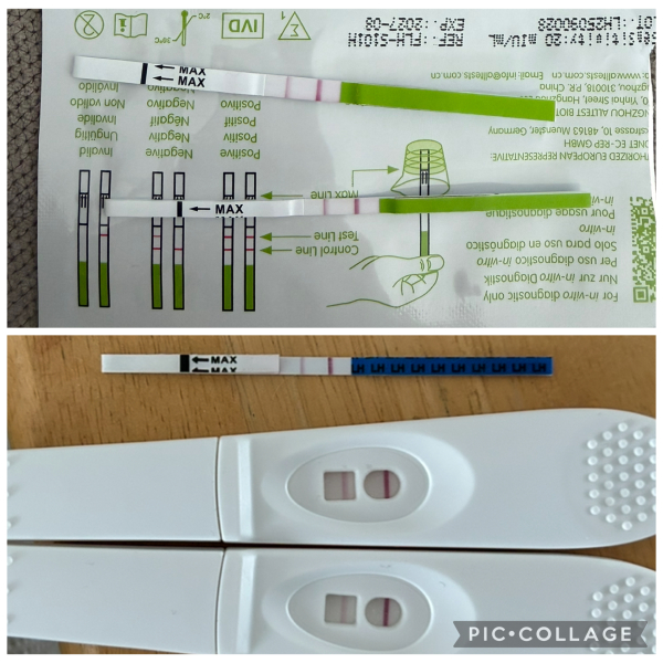 Opk test could I be pregnant or implantion be occurring?…