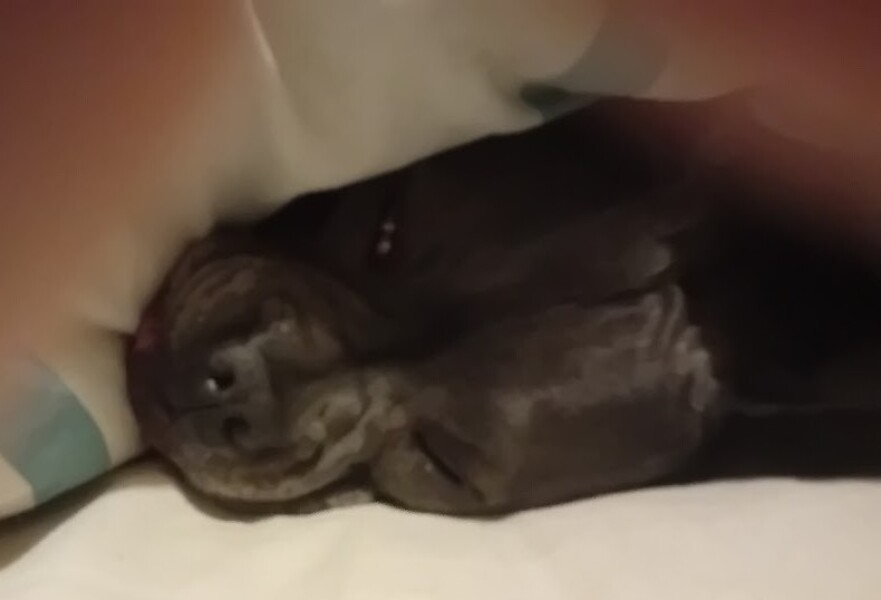 The Continuing Support Thread for Anyone Trying to Lead an Alcohol-Free Life Spring into Summer 2026