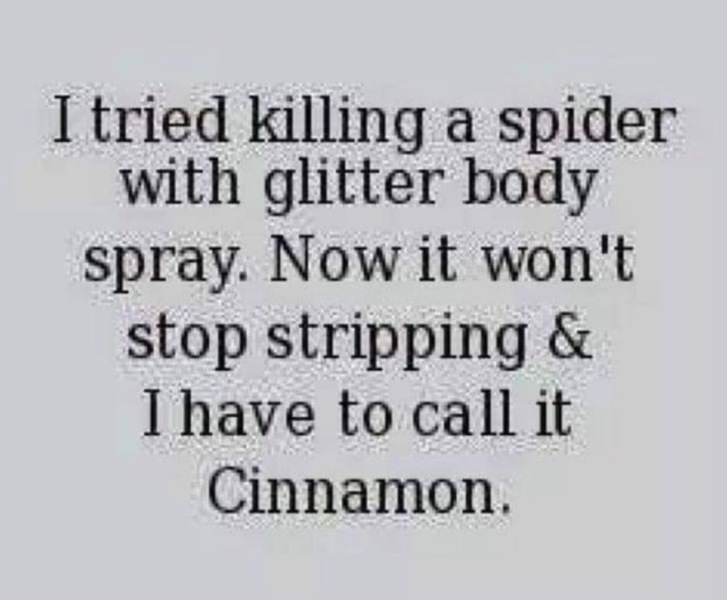 Entitled spider in my kitchen