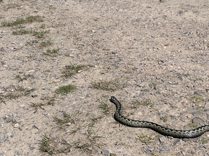 Saw a really large adder