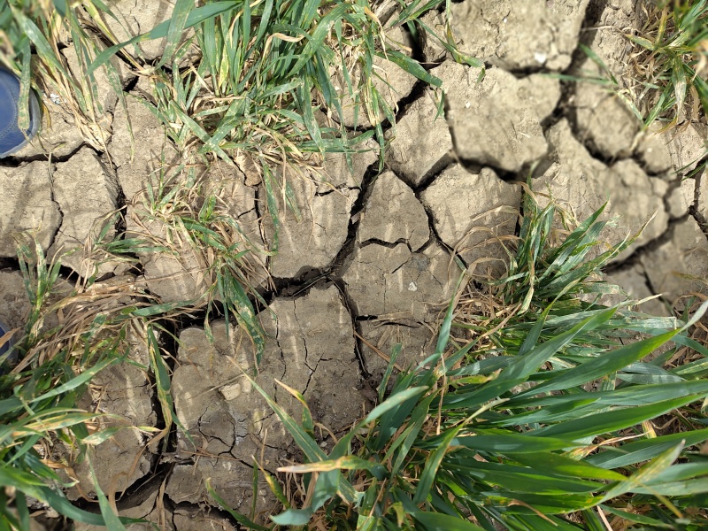 1st March ~ the start of meteorological Spring 2026