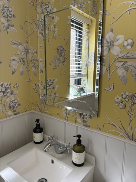 To ask to see your downstairs toilet wallpaper?