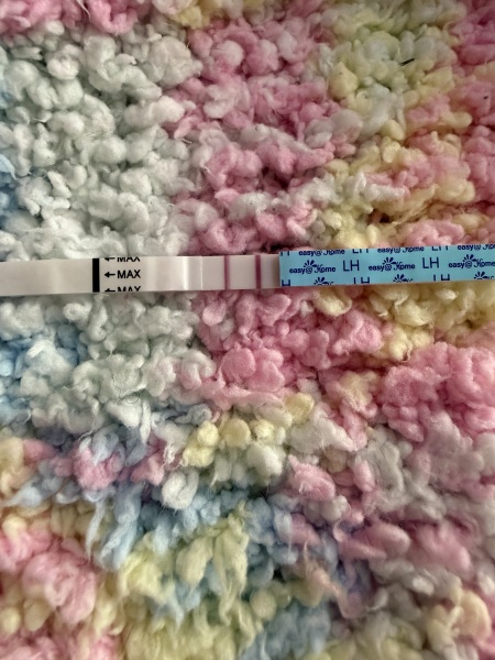 Confused by conflicting ovulation dates on Premom and Fertility Friend