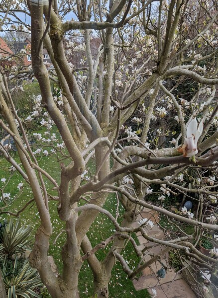 What's going on in your garden right now?