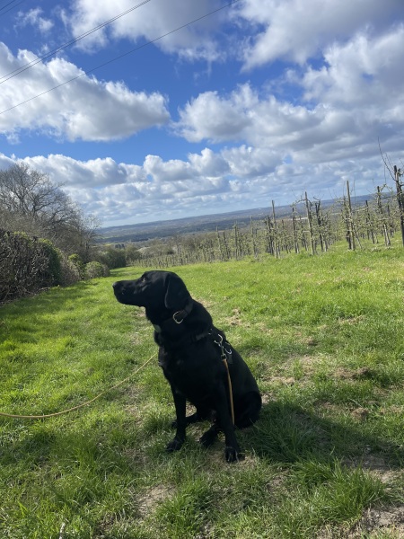 Beyond Adolescence and General Chit Chat - part 3