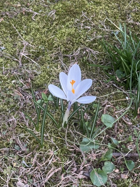 Come and tell us your dull and unexciting news 35: Calmly through the day