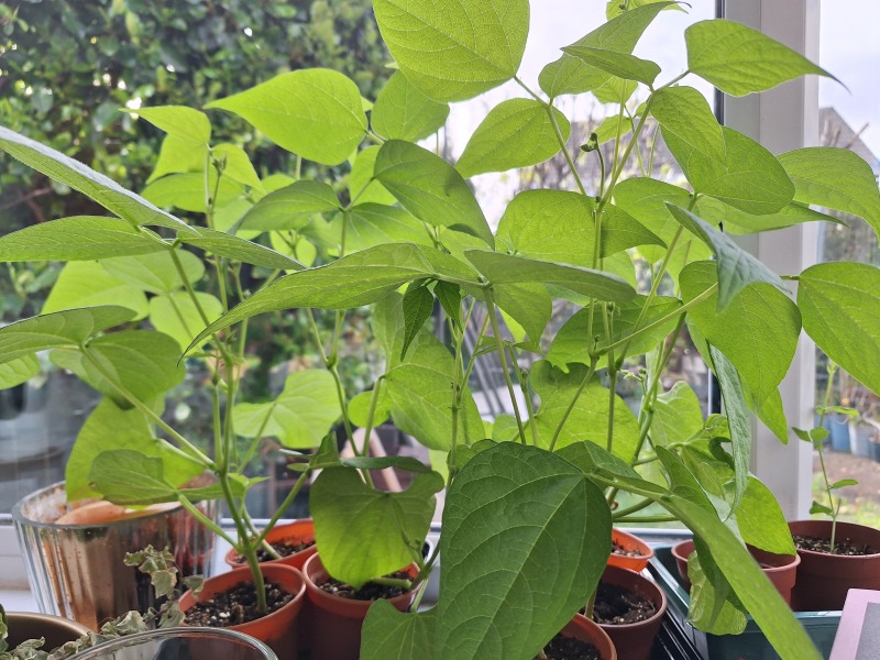 Year Round Nigel Slater discussion thread - Part 4