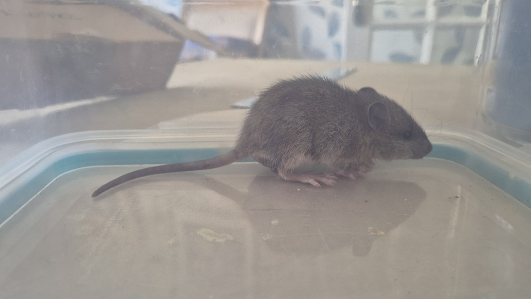 Come and tell us your dull and unexciting news 35: Calmly through the day