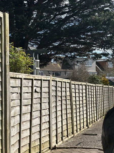 Short fences in rented house