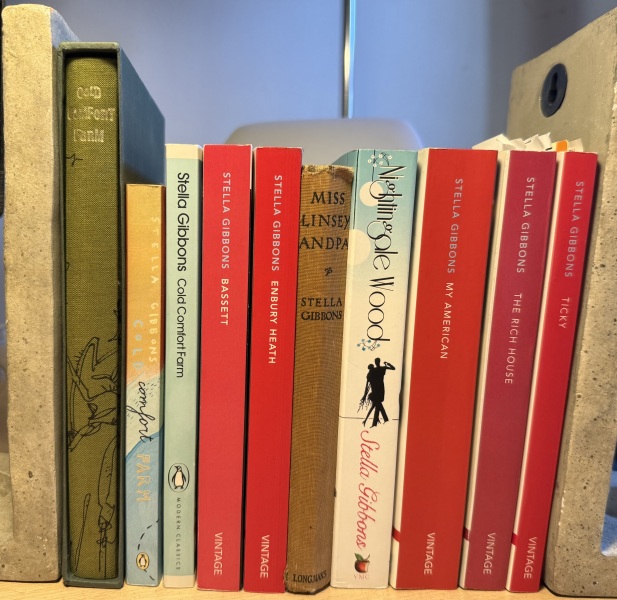 My year with Stella...