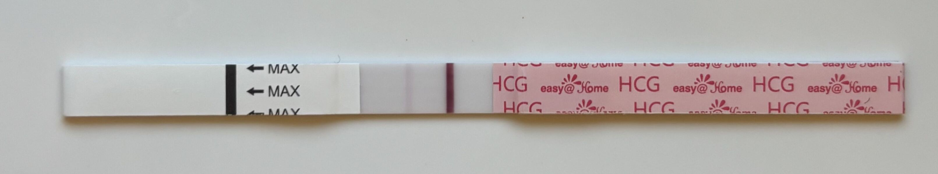 TWW feels like forever