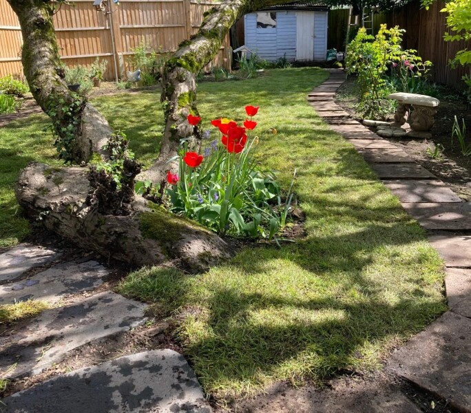 Come and tell us your dull and unexciting news 35: Calmly through the day