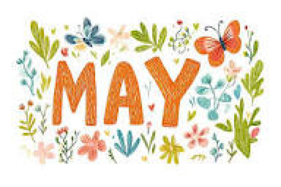 ⭐️LOSE IT! Active April 2026⭐️