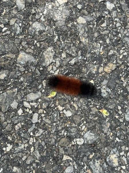 Come and tell us your dull and unexciting news 35: Calmly through the day