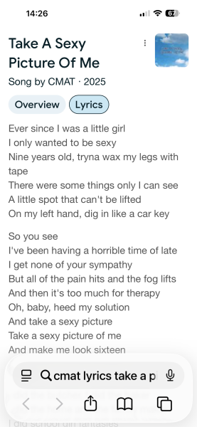 Song lyrics that make you think what the hell?