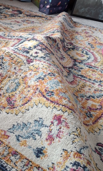 Cats’ brains - so weird