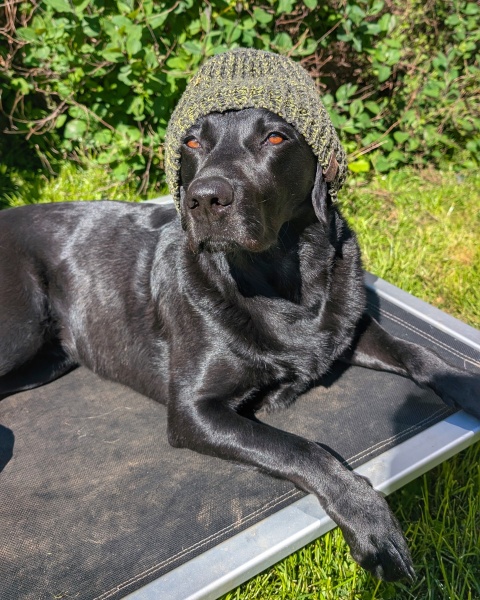 Beyond Adolescence and General Chit Chat - part 3