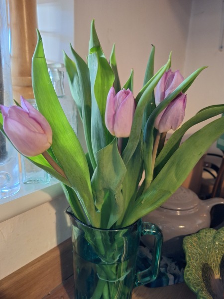 Year round Nigel Slater discussion thread - Part 3