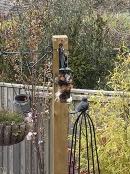 Year round Nigel Slater discussion thread - Part 3