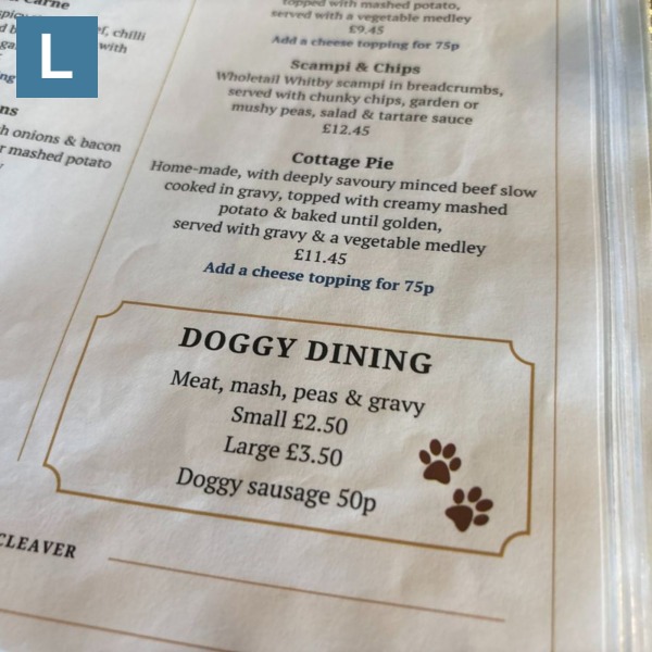 AIBU to want cafes to be dog free after grandchild was bitten?