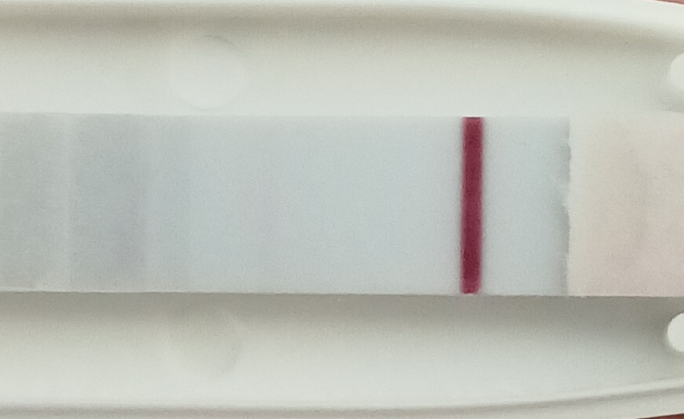 Can anyone see a faint line at 9 DPO on this test?