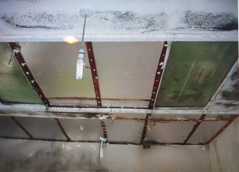 Conservatory, garden room or extension for a small rear addition?