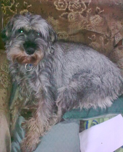 The Continuing Support Thread for Anyone Trying to Lead an Alcohol-Free Life Spring into Summer 2026