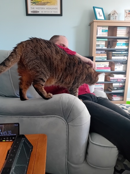 Carry On Catting - the Excellent Cats do what they do best