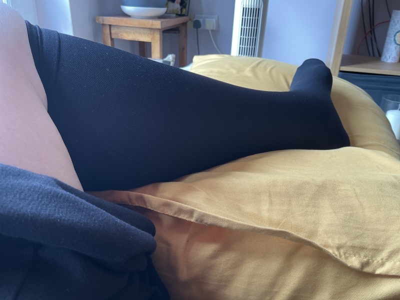 The Bluestocking: To the moon and back gerbil style.