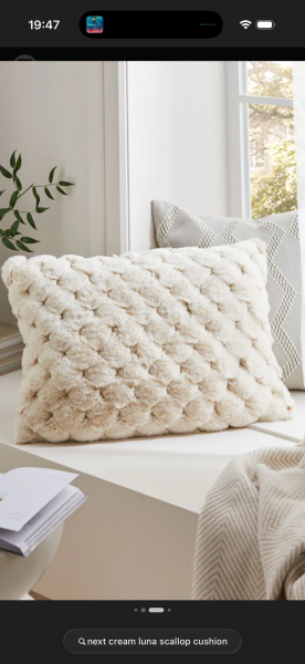 Cushions for dark grey sofa