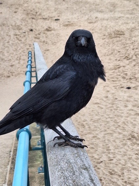 Year Round Nigel Slater discussion thread - Part 4