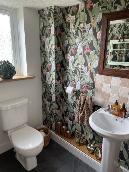To ask to see your downstairs toilet wallpaper?